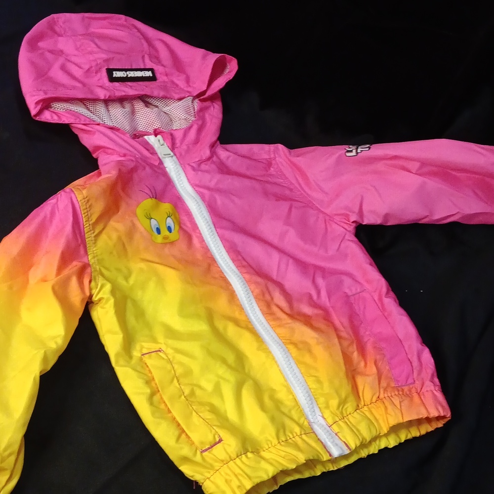 Toddler looney tunes jacket